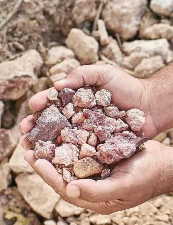 Armenian Terroir